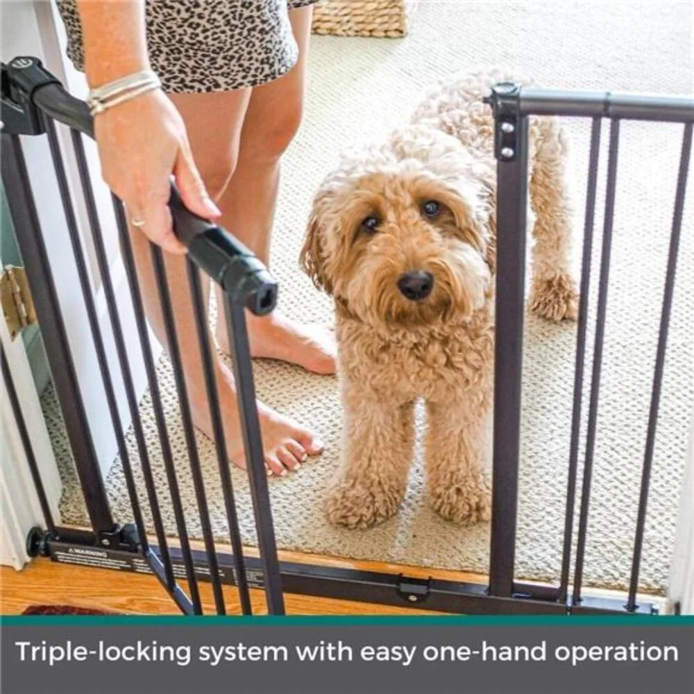 Windsor Arch Pet Gate:28.25
